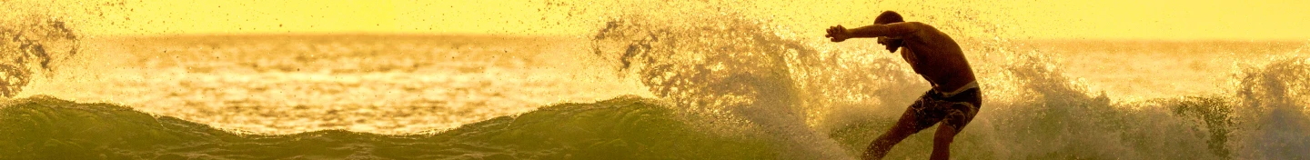 wave banner